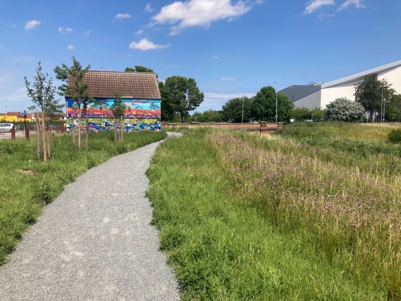New pocket park with recently planted trees and landscaped green space