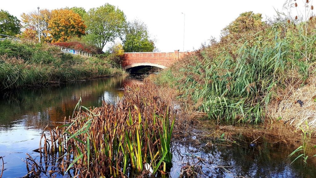 Beverley and Barmston Drain beside a new pocket park