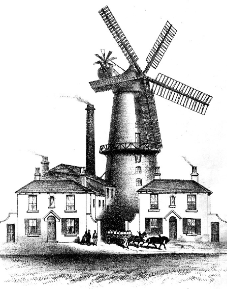 Hull Anti Mill, Marfleet